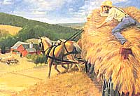 The Seasonal Almanac: Life on an Amish Threshing Crew